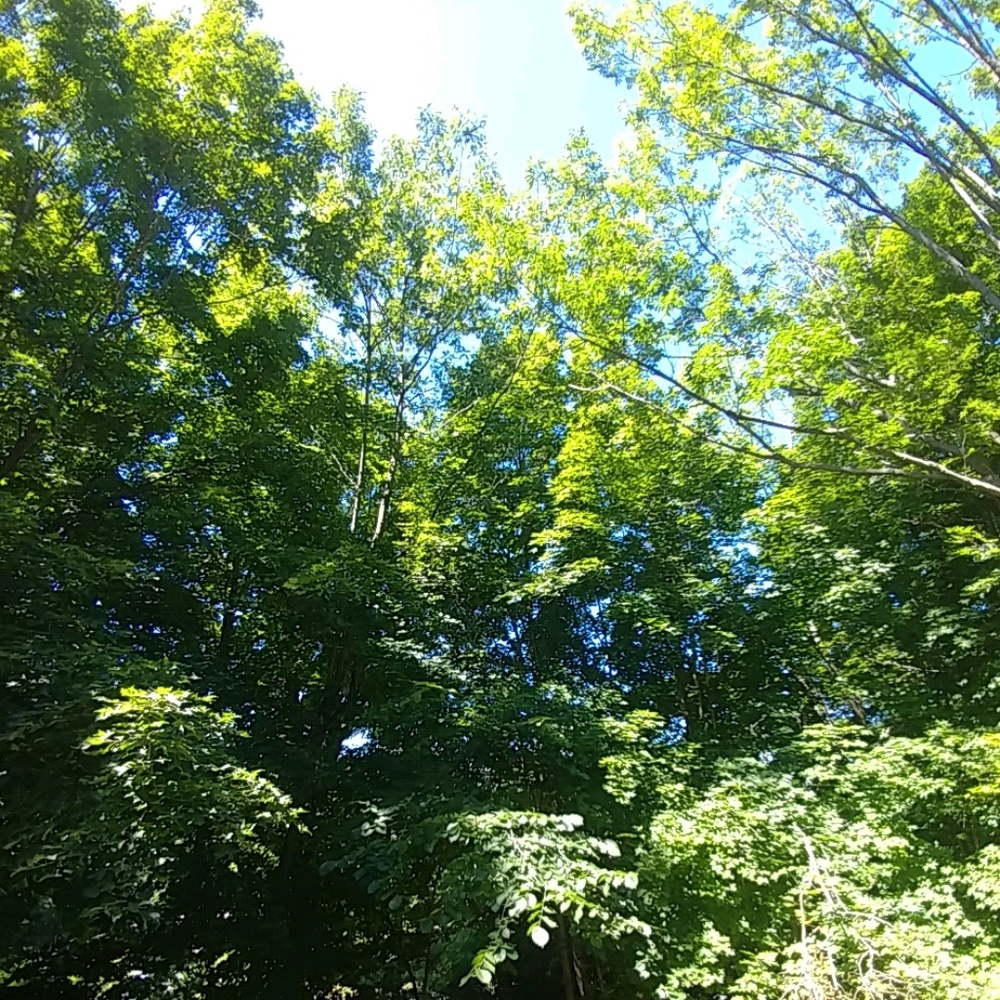 Meet your Posher, Bryta